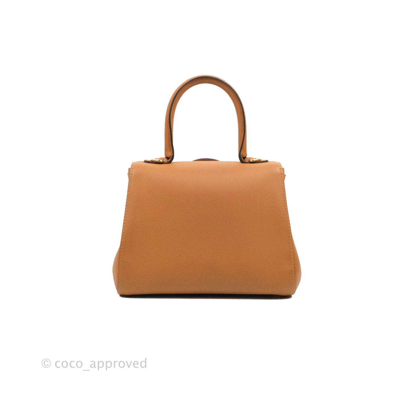 Delvaux Mini Brillant Bag Vegetal Rodeo Calf Gold Hardware