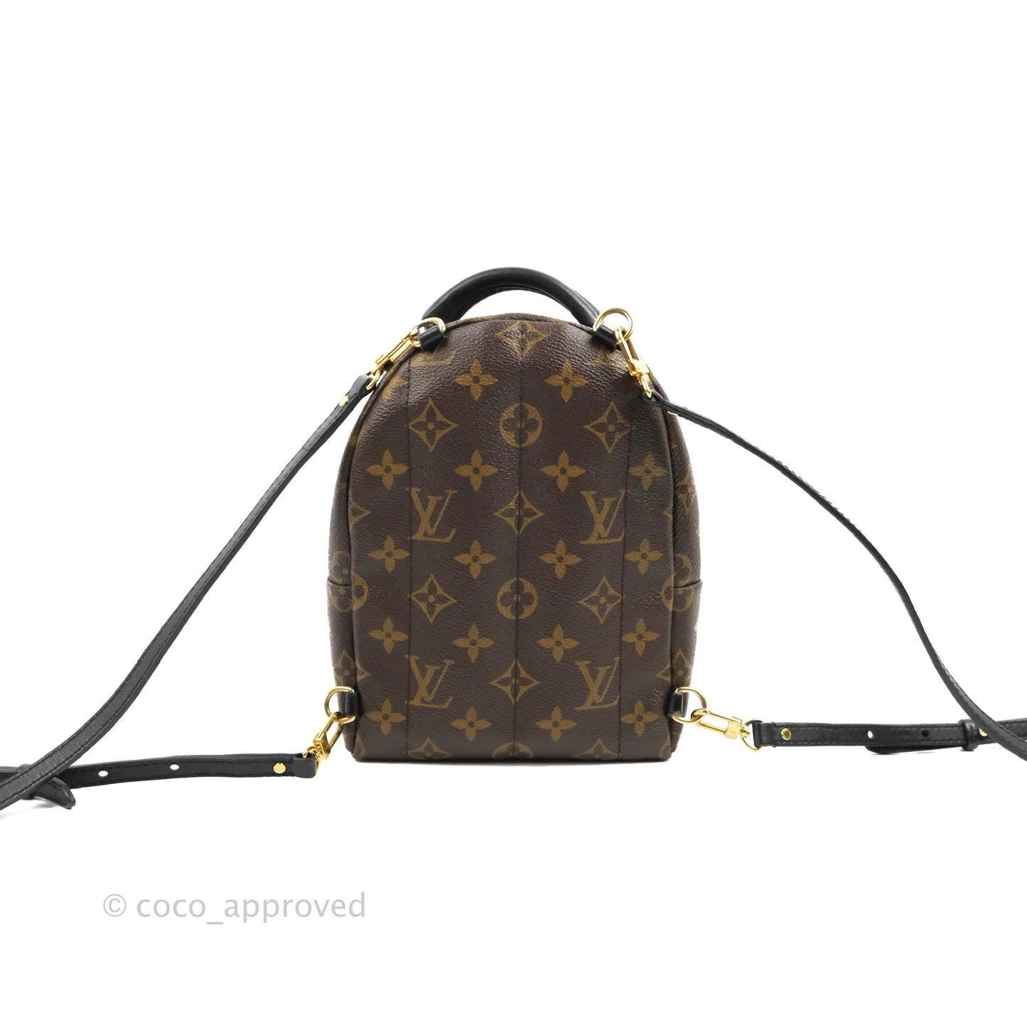 Louis Vuitton Monogram Mini Palm Springs Backpack⁣
