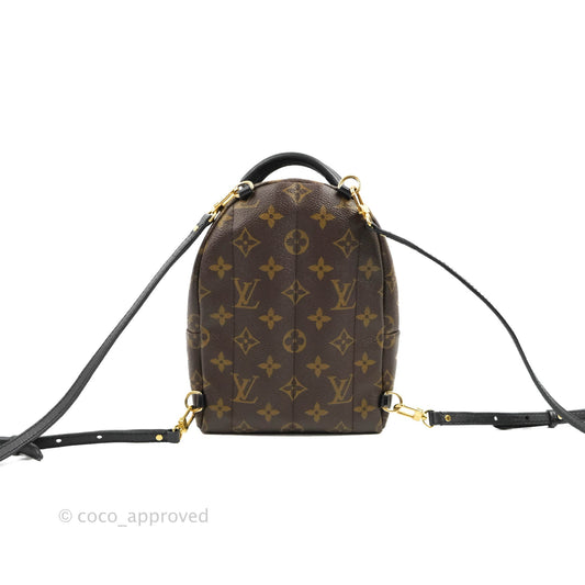 Louis Vuitton Monogram Mini Palm Springs Backpack⁣