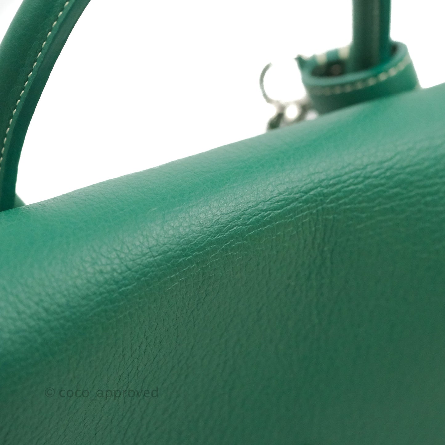 Goyard Mini Alpin Backpack Green Goyardine Calfskin