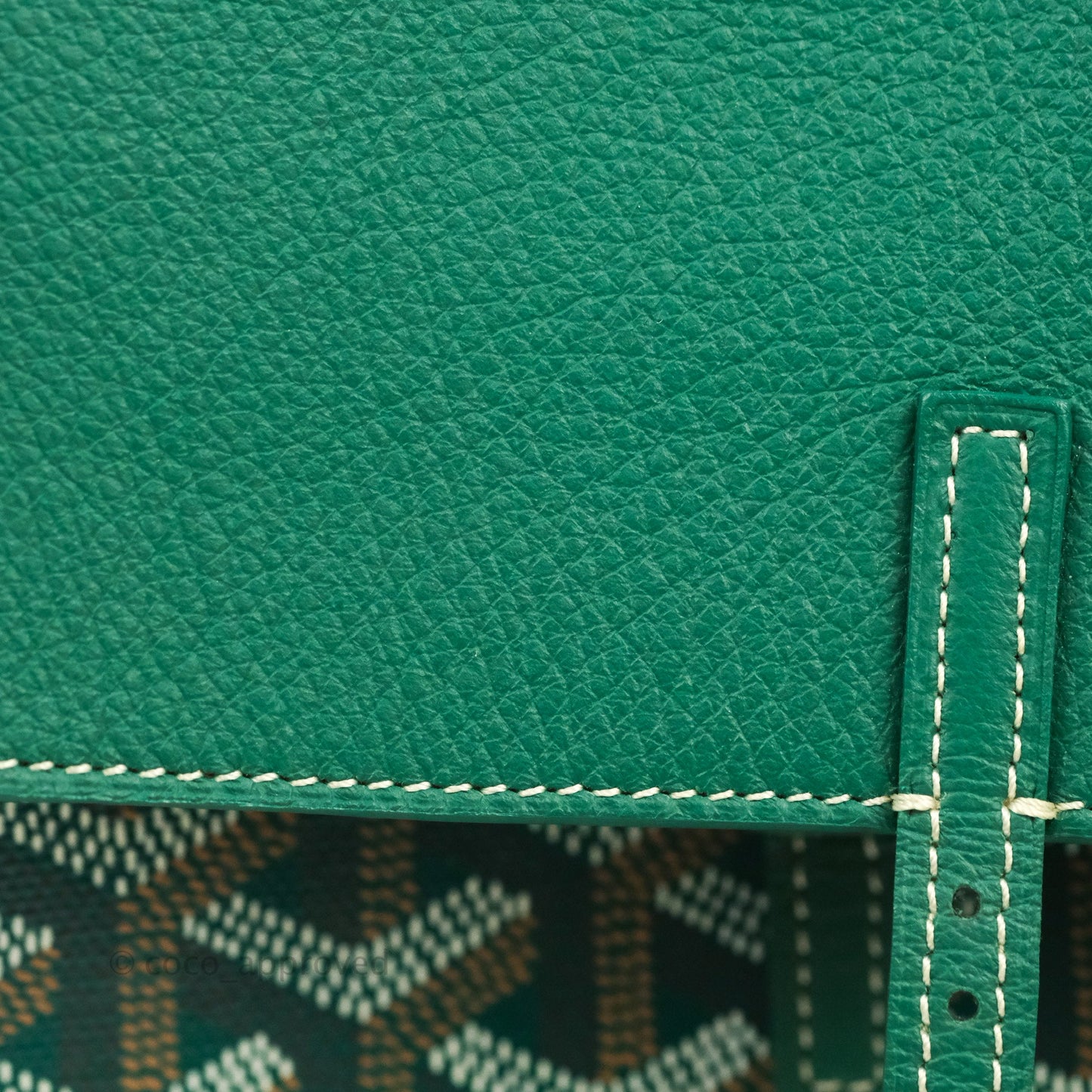 Goyard Mini Alpin Backpack Green Goyardine Calfskin