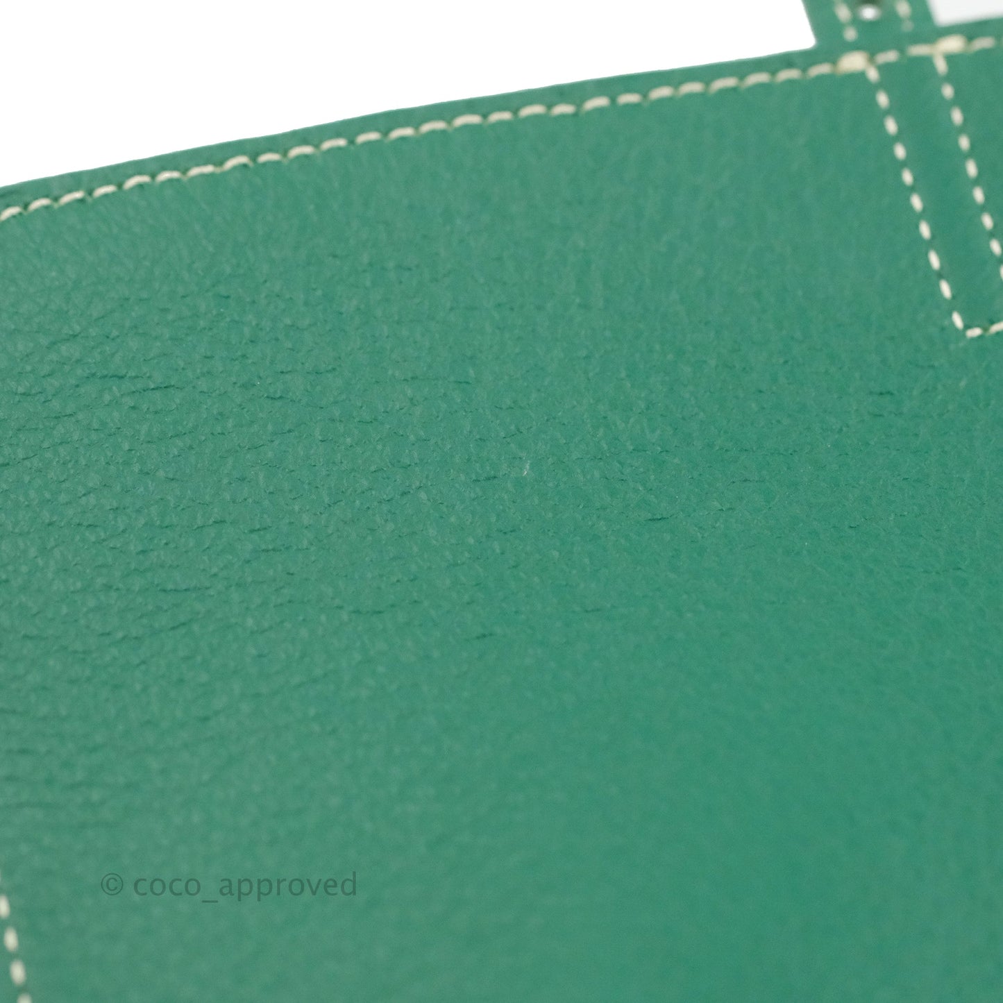 Goyard Mini Alpin Backpack Green Goyardine Calfskin
