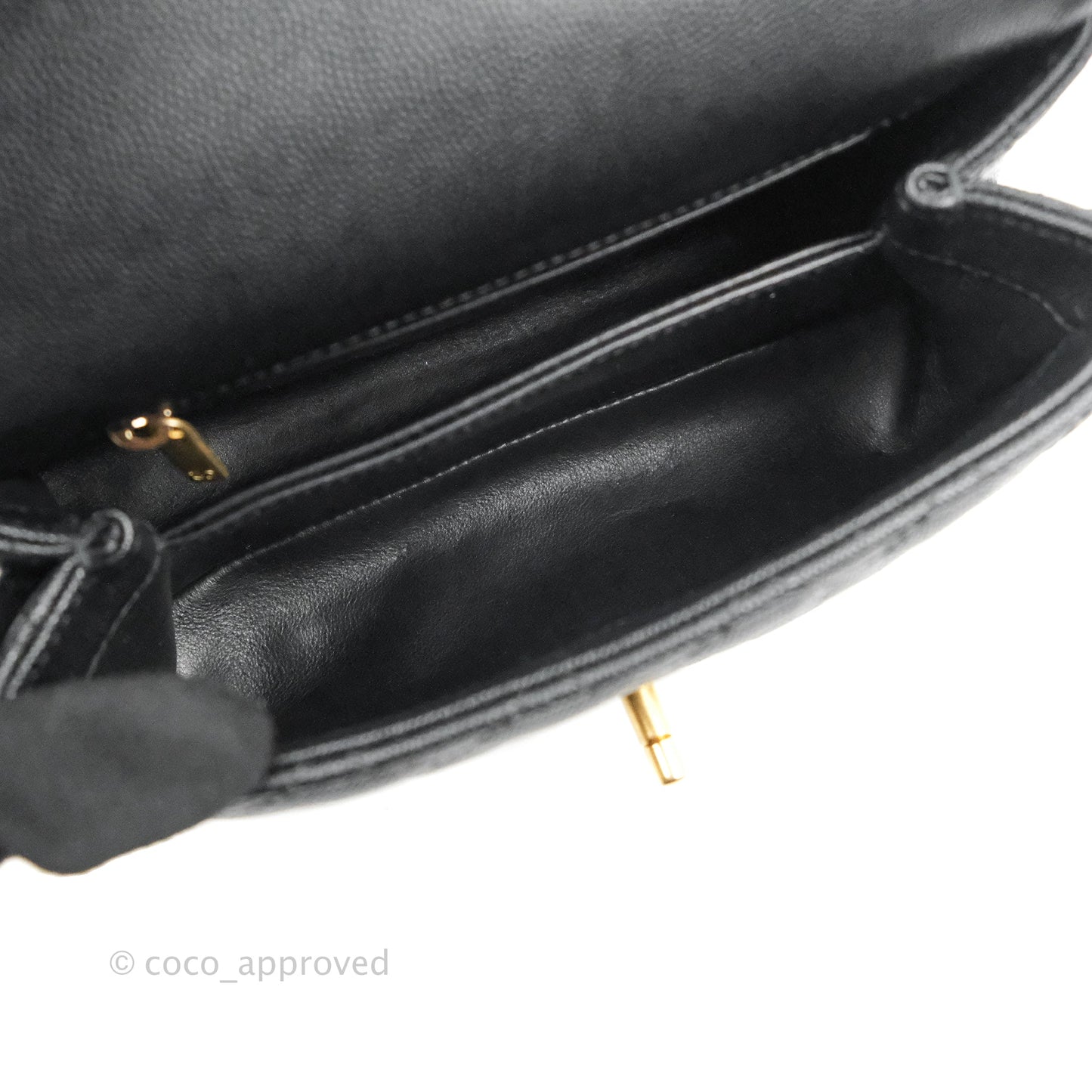 Chanel Small Coco Handle Quilted Black Caviar Aged Gold Hardware Lizard Handle