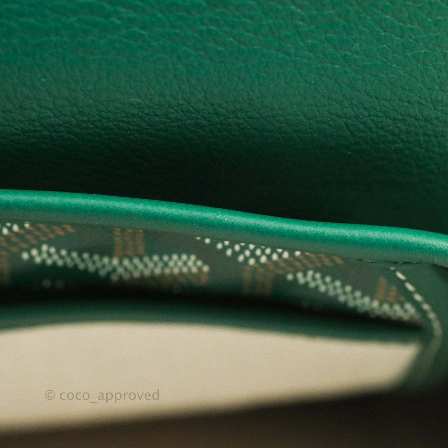 Goyard Mini Alpin Backpack Green Goyardine Calfskin