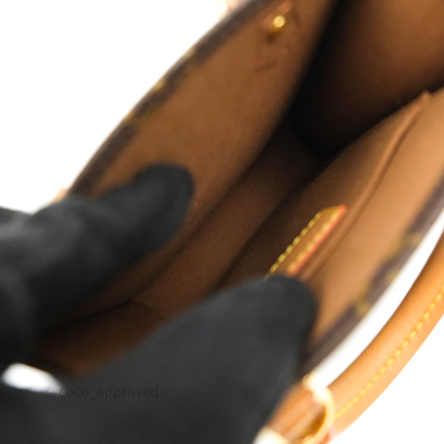 Louis Vuitton Monogram Canvas Petit Sac Plat bag