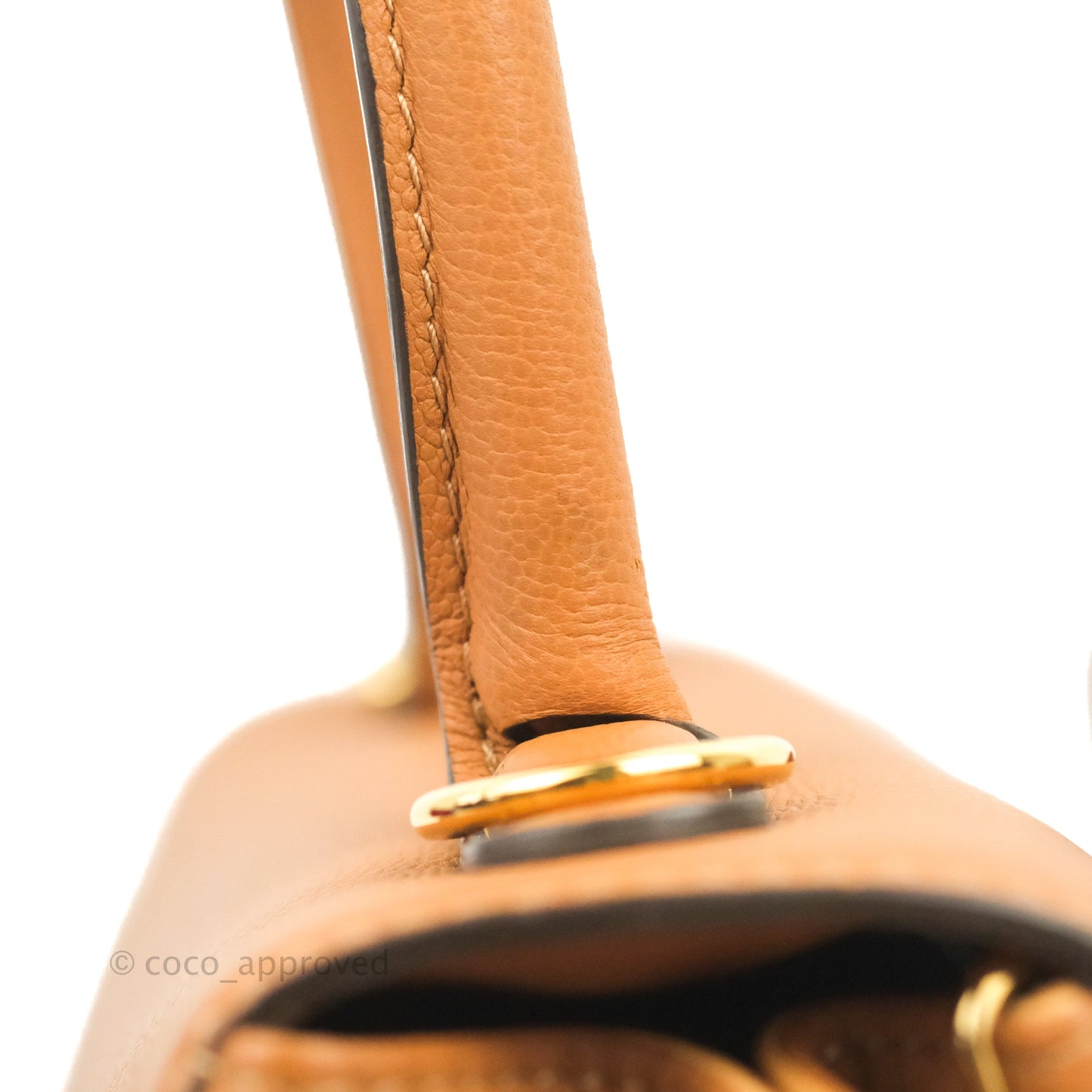 Delvaux Mini Brillant Bag Vegetal Rodeo Calf Gold Hardware
