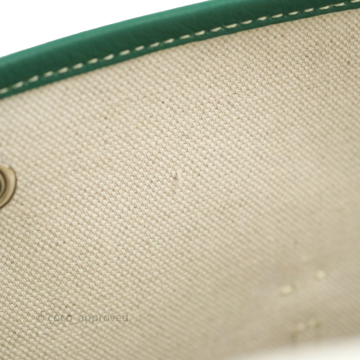 Goyard Mini Alpin Backpack Green Goyardine Calfskin