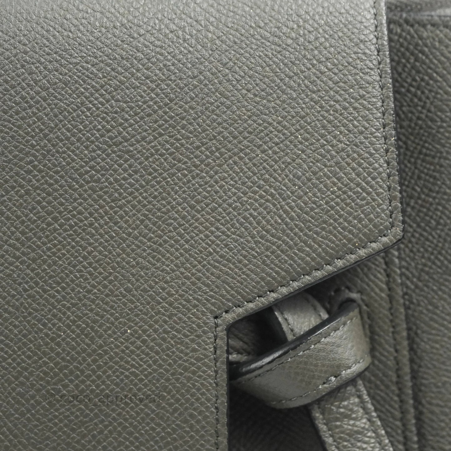 Celine Mini Belt Bag Grey Grained Calfskin Gold Hardware