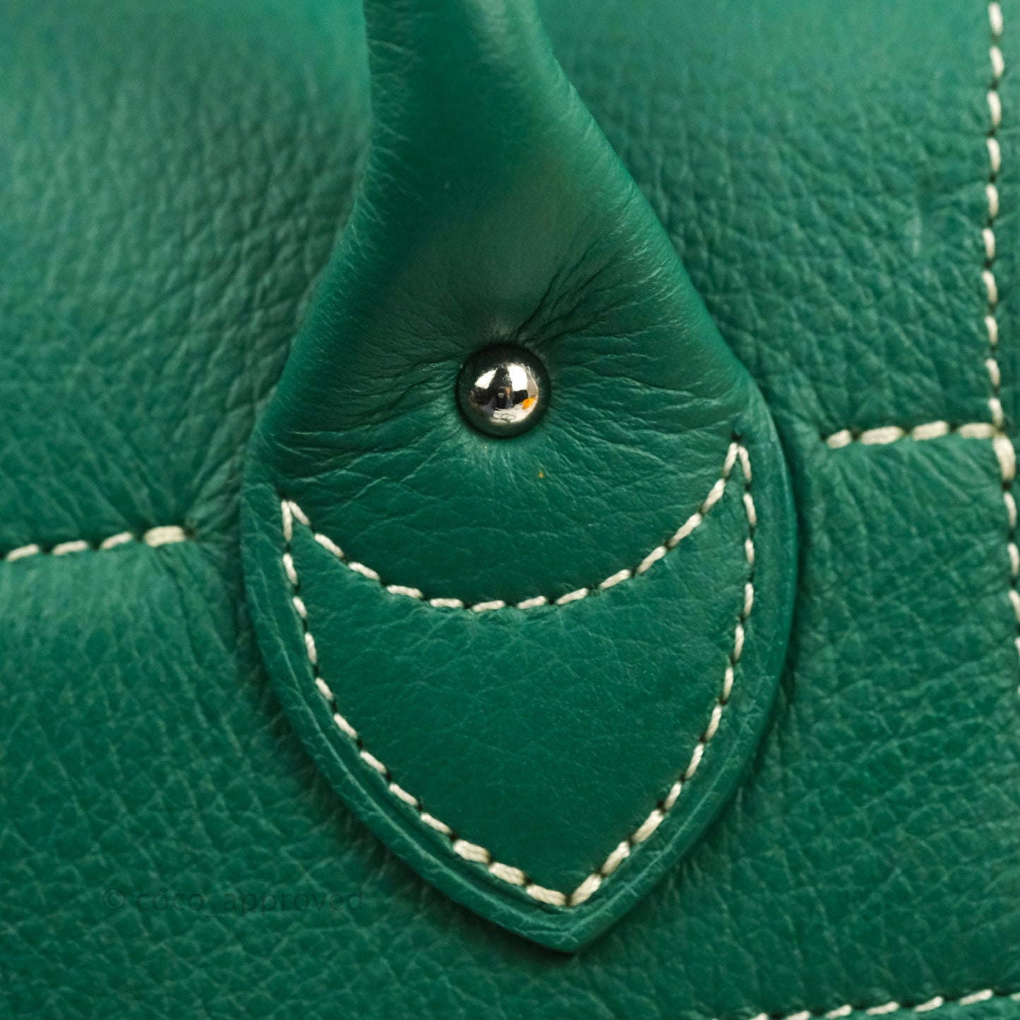 Goyard Mini Alpin Backpack Green Goyardine Calfskin