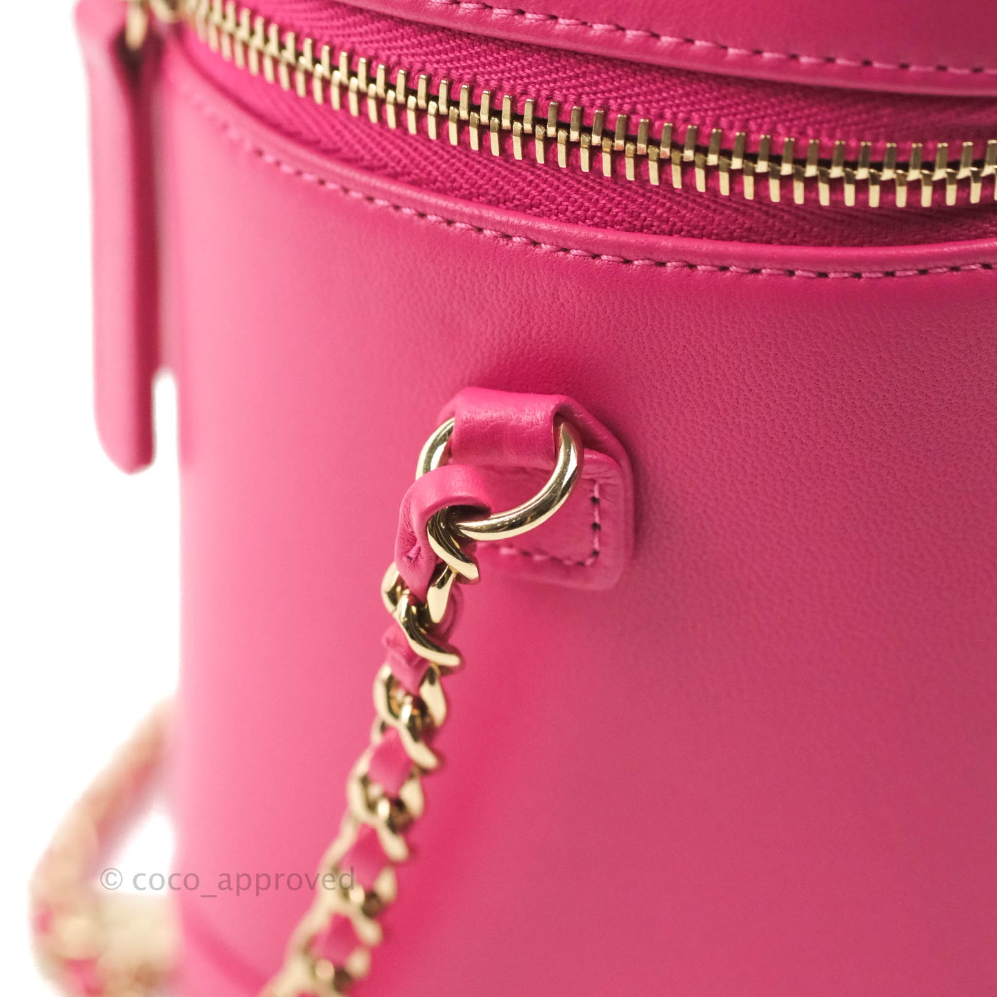 Chanel CC Mania Vanity Case Pink Lambskin Gold Hardware