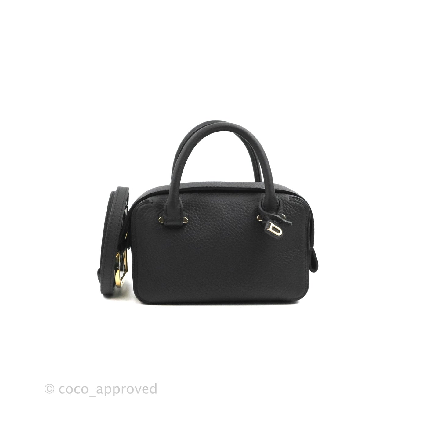Delvaux Cool Box Nano Taurillon Soft Grained Calfskin Black Gold Hardware