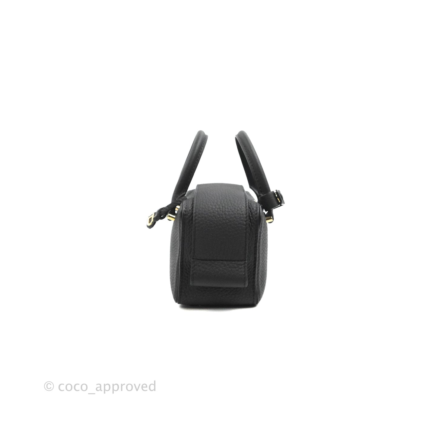 Delvaux Cool Box Nano Taurillon Soft Grained Calfskin Black Gold Hardware