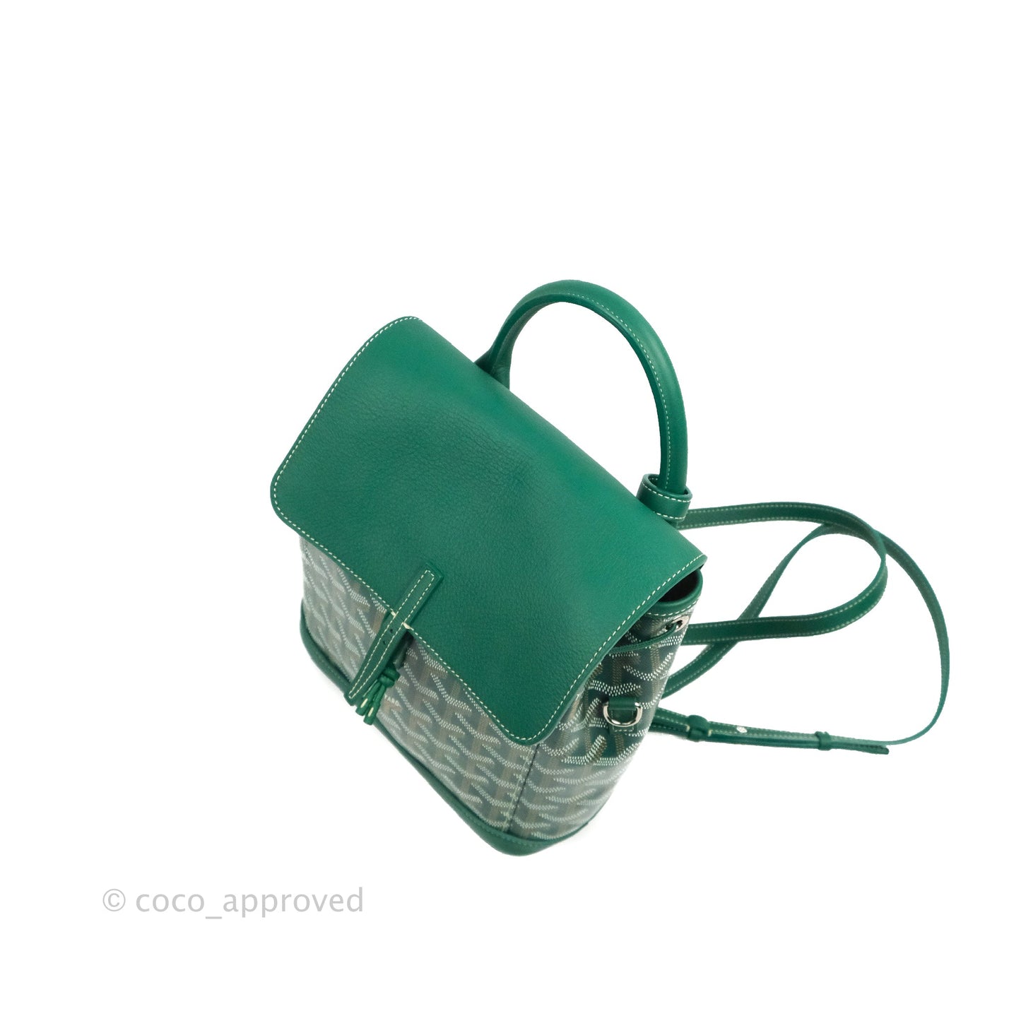 Goyard Mini Alpin Backpack Green Goyardine Calfskin