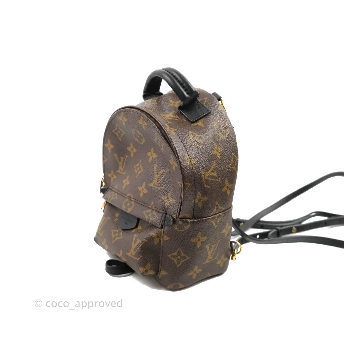 Louis Vuitton Monogram Mini Palm Springs Backpack⁣