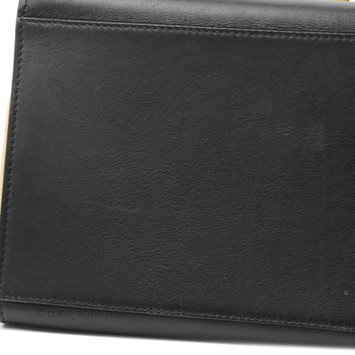 Celine Small Sleek Calfskin Tri-Color Trapeze Ivory Black Raffia