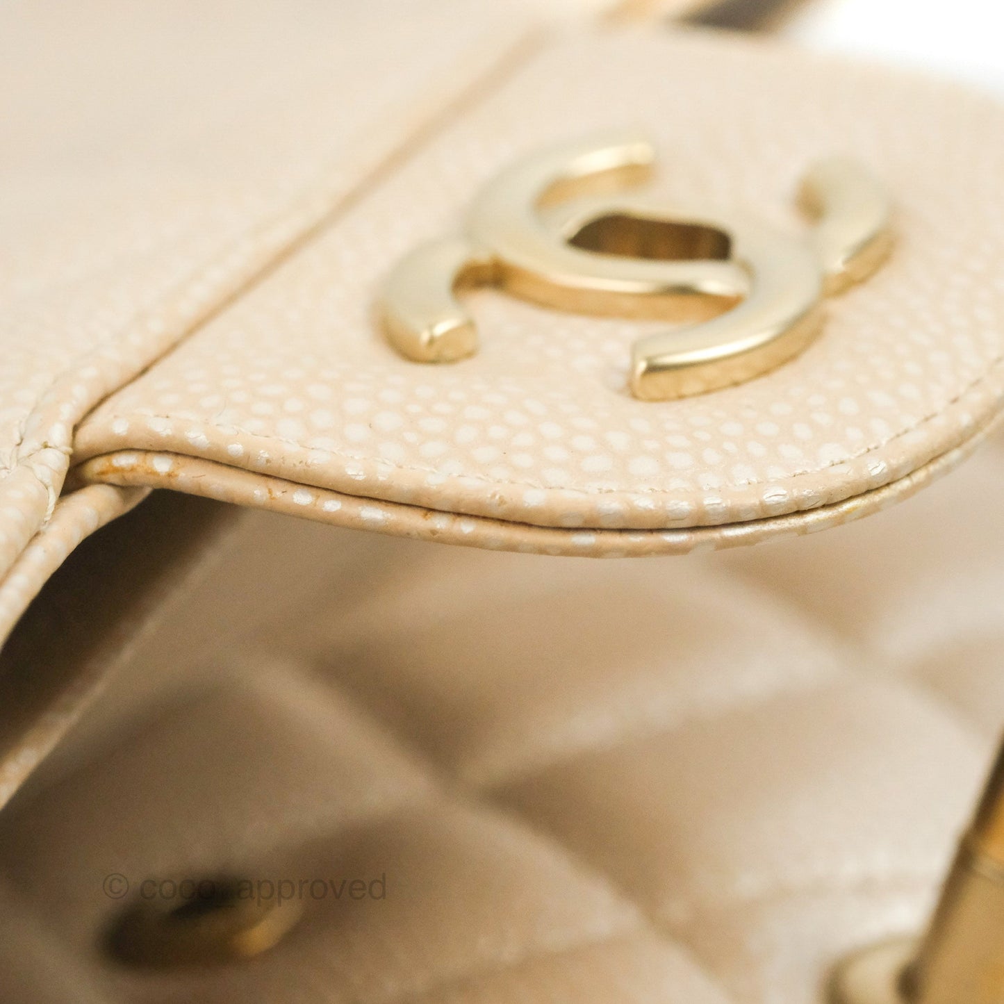 Chanel Jumbo Double Flap Iridescent Pearly Caviar Gold Hardware⁣⁣