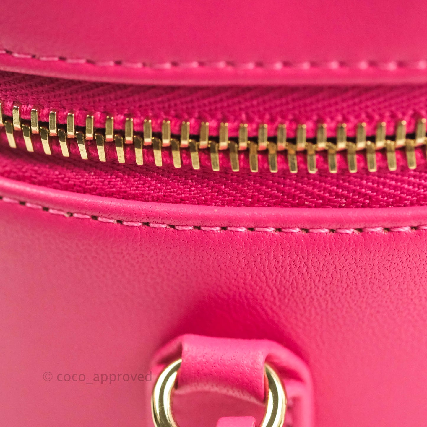 Chanel CC Mania Vanity Case Pink Lambskin Gold Hardware