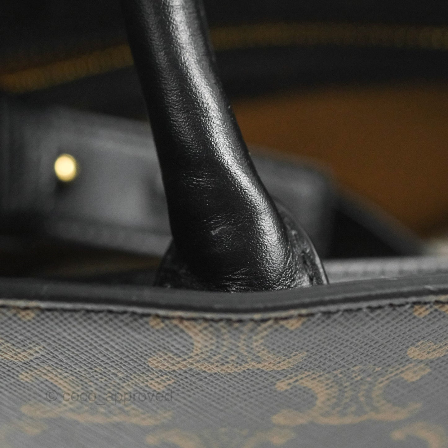 Celine Medium Cabas Vertical Tote Triomphe