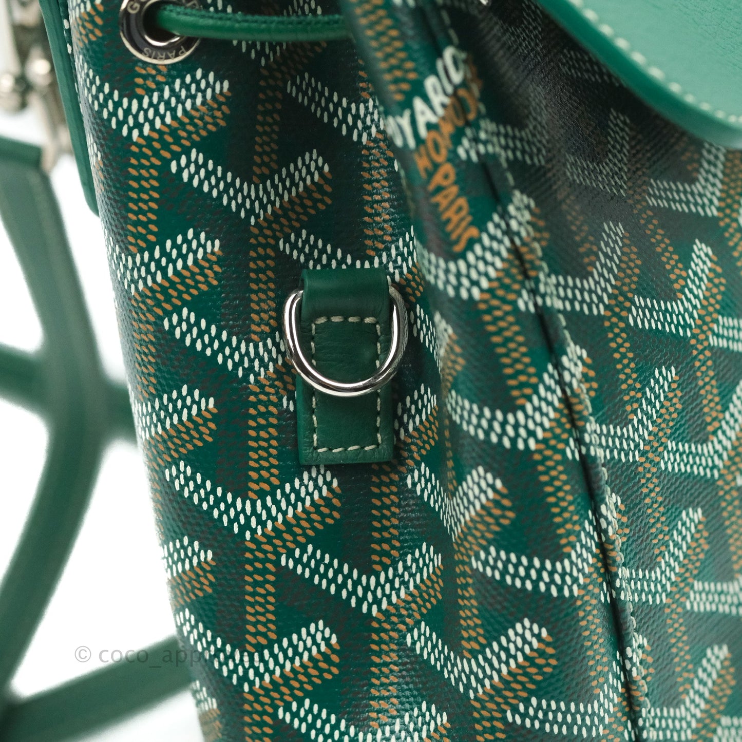 Goyard Mini Alpin Backpack Green Goyardine Calfskin