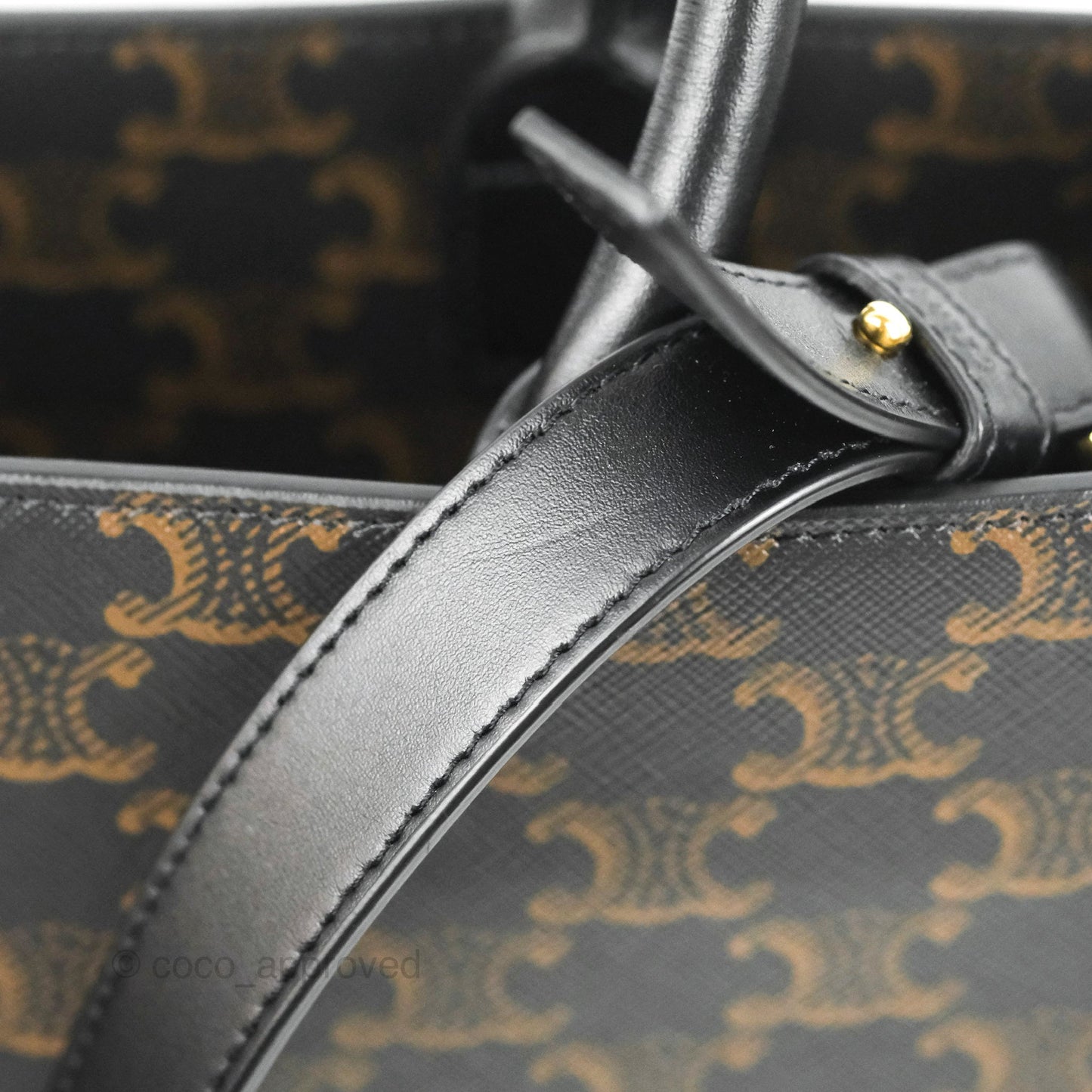 Celine Medium Cabas Vertical Tote Triomphe