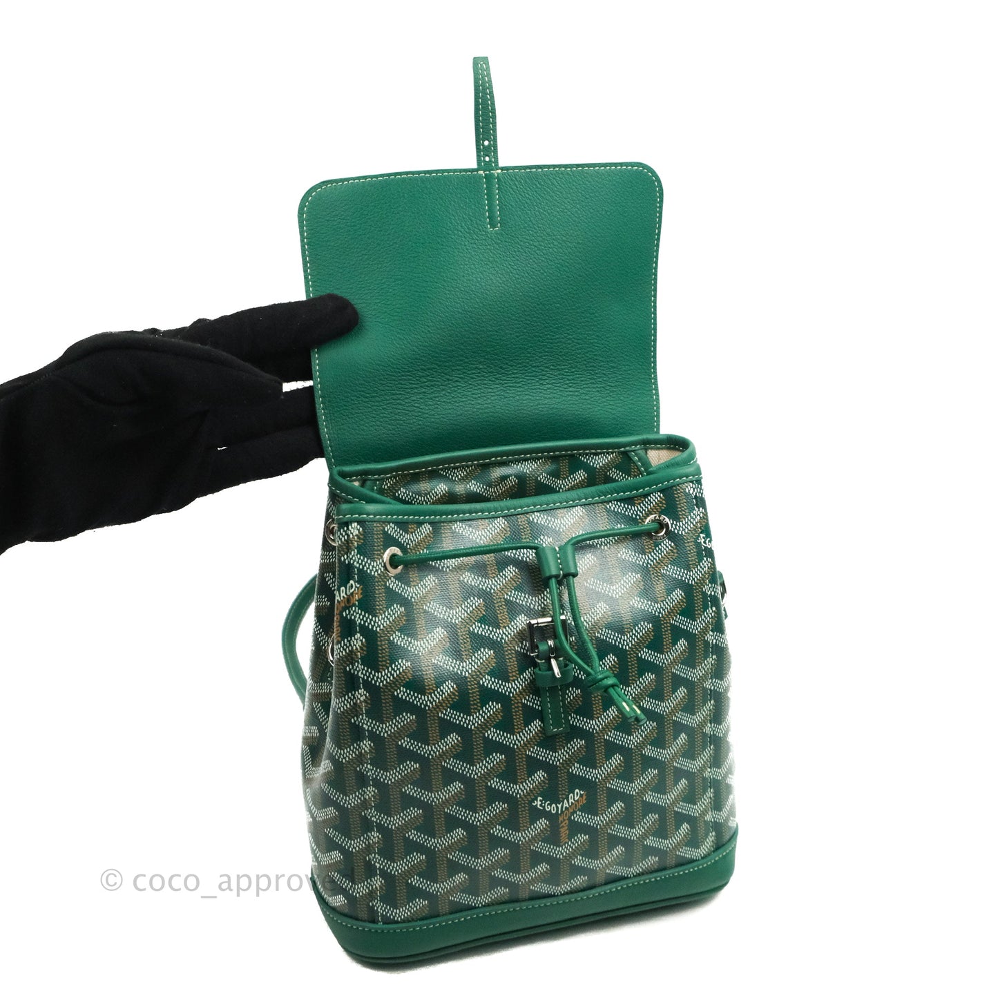 Goyard Mini Alpin Backpack Green Goyardine Calfskin