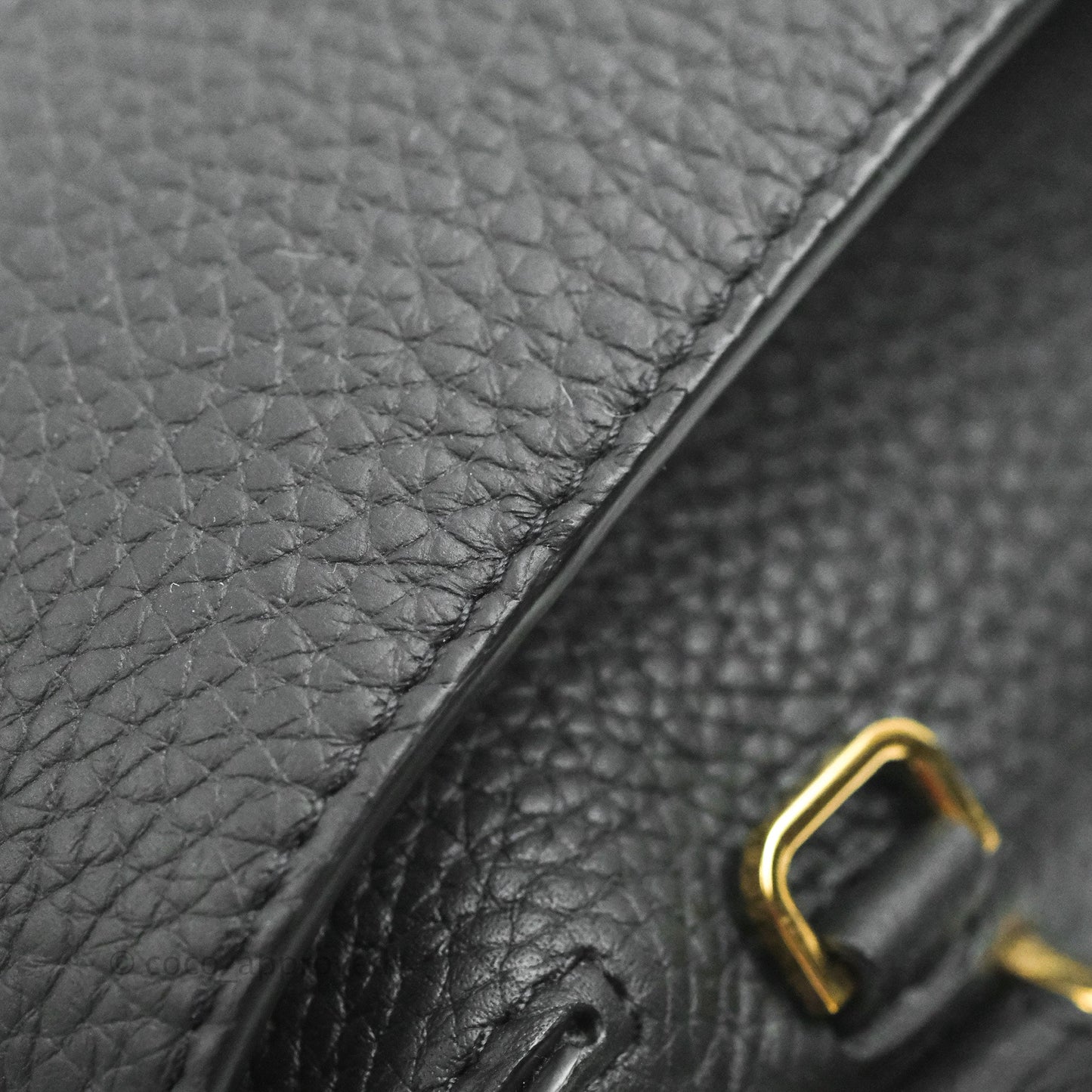 Delvaux Cool Box Nano Taurillon Soft Grained Calfskin Black Gold Hardware