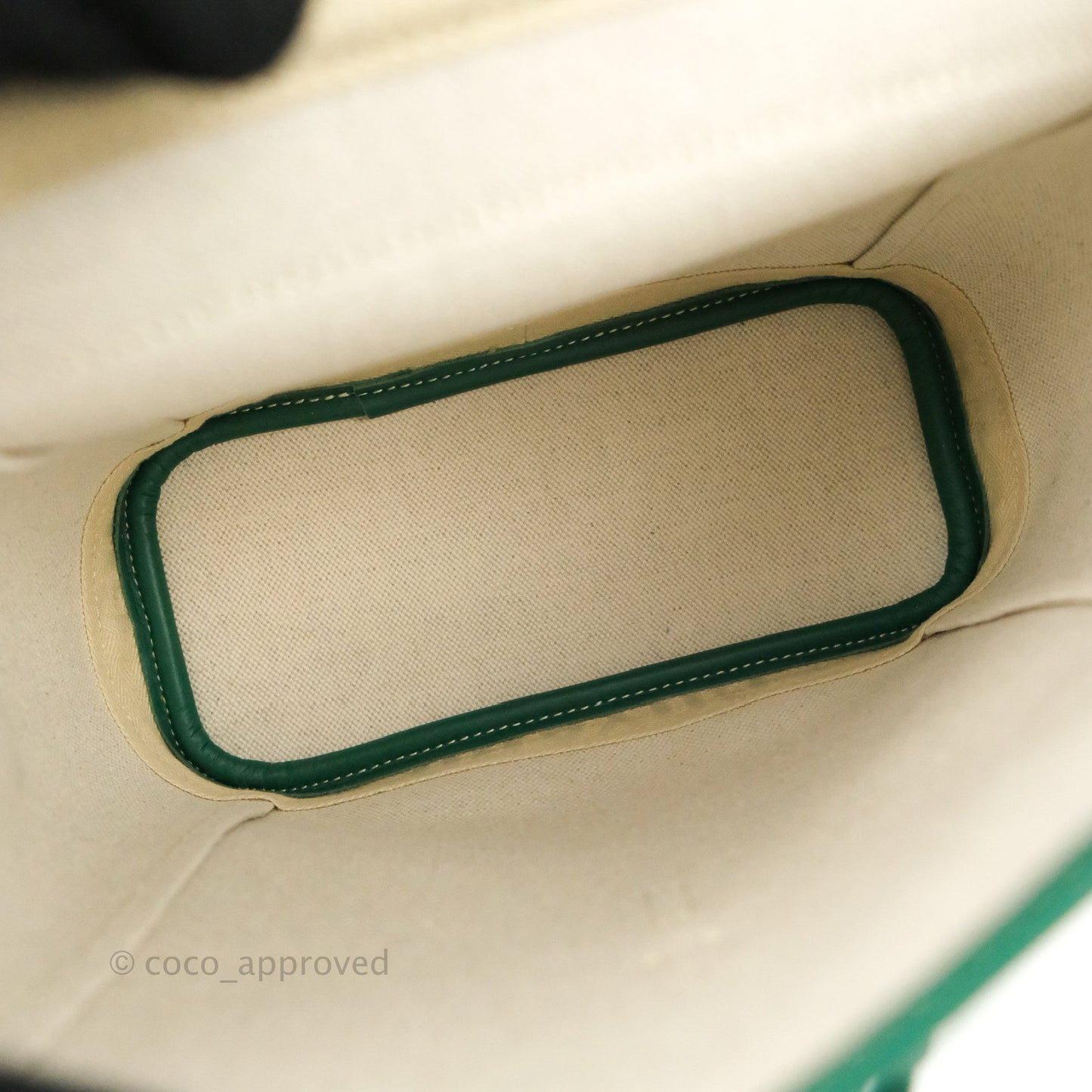 Goyard Mini Alpin Backpack Green Goyardine Calfskin