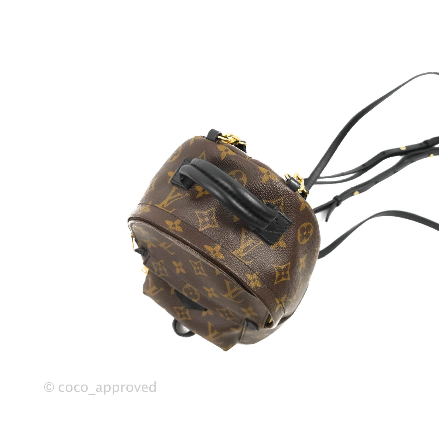 Louis Vuitton Monogram Mini Palm Springs Backpack⁣