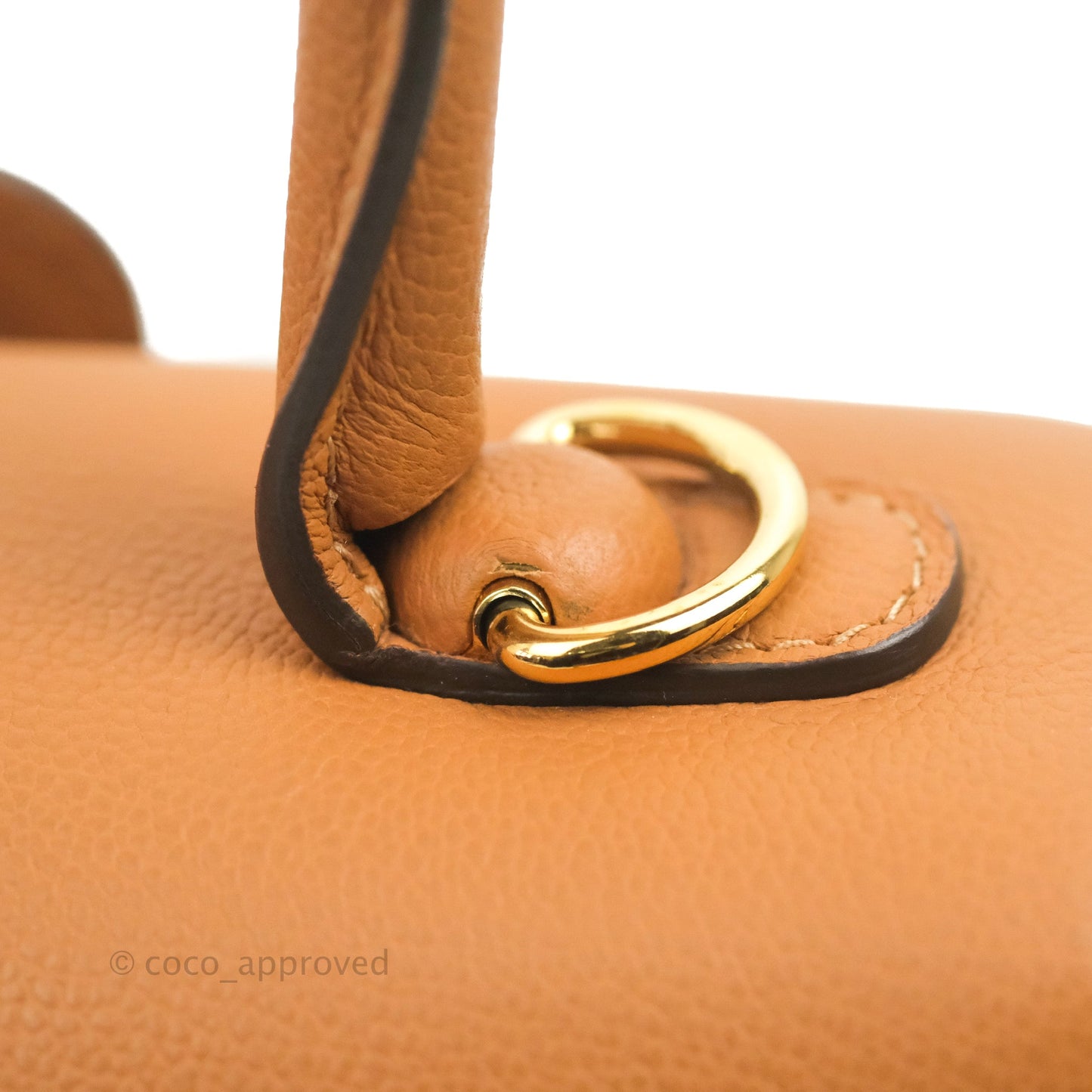 Delvaux Mini Brillant Bag Vegetal Rodeo Calf Gold Hardware