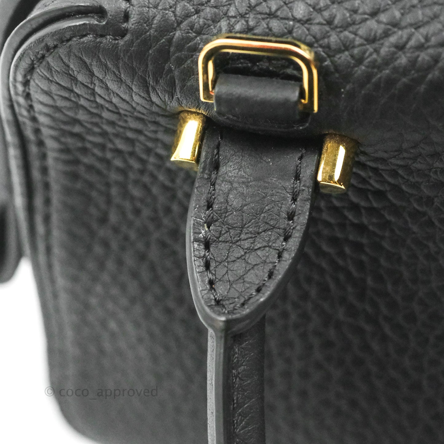 Delvaux Cool Box Nano Taurillon Soft Grained Calfskin Black Gold Hardware