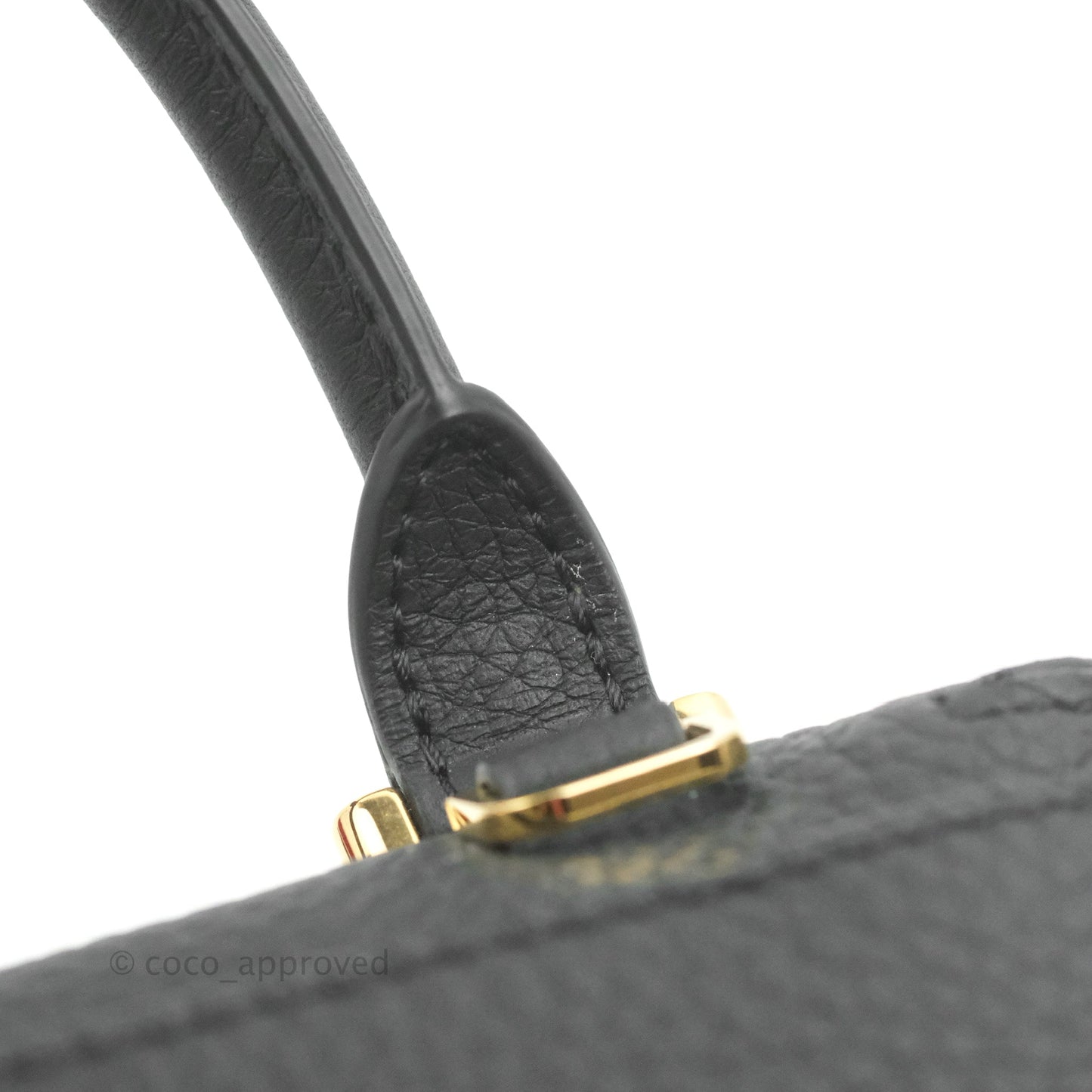 Delvaux Cool Box Nano Taurillon Soft Grained Calfskin Black Gold Hardware