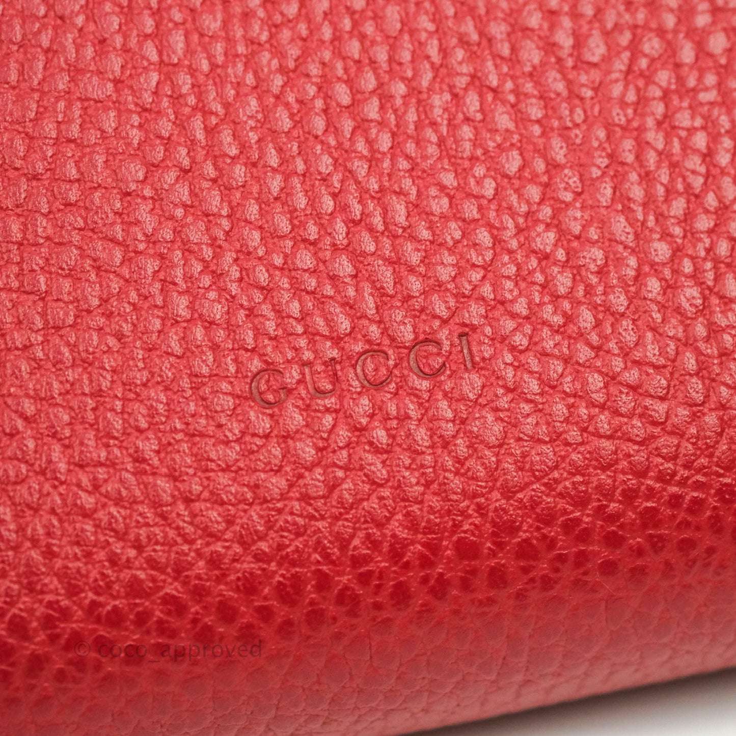 Gucci Calfskin Dionysus Mini Leather Chain Bag Red