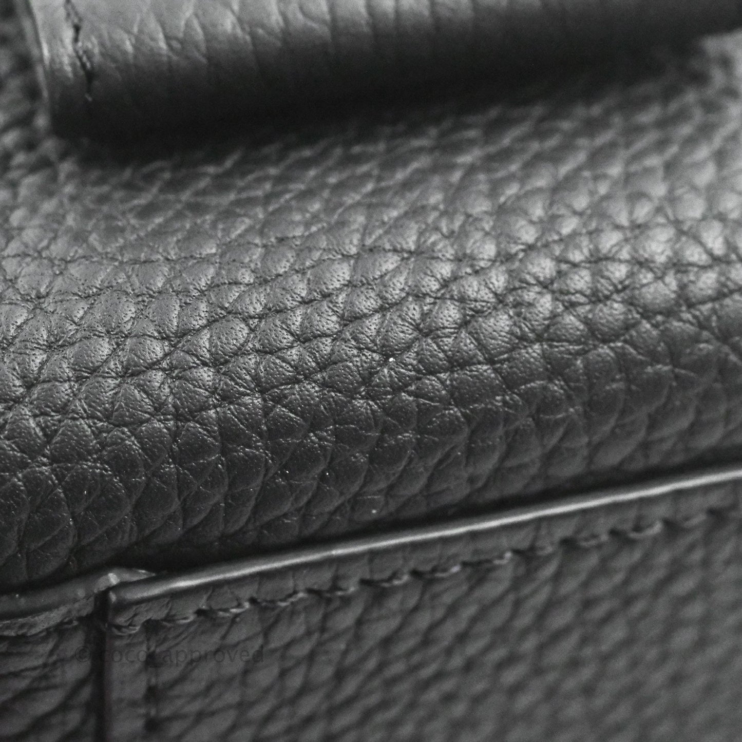 Delvaux Cool Box Nano Taurillon Soft Grained Calfskin Black Gold Hardware