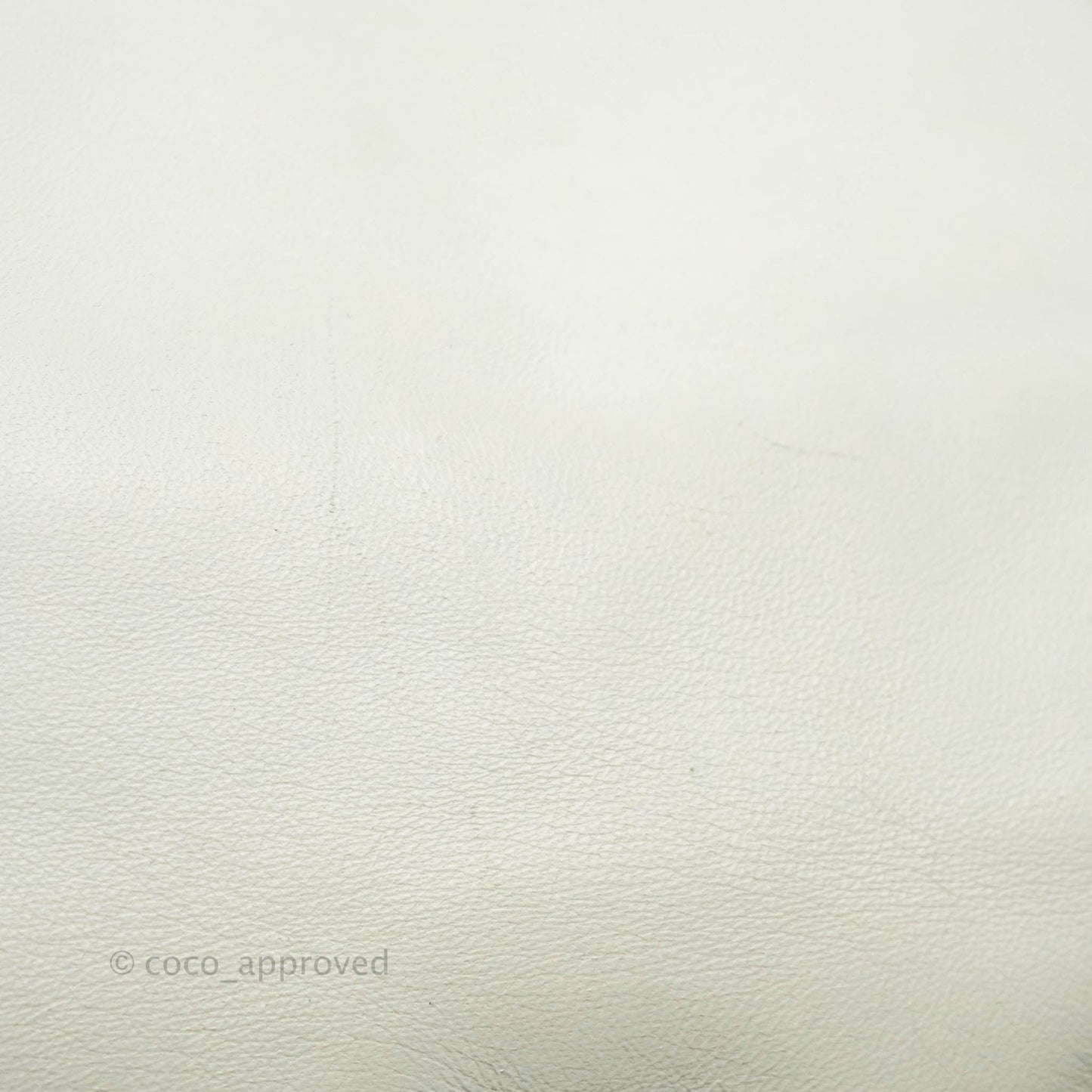 Fendi Medium Baguette Bag White Calfskin Gold Hardware