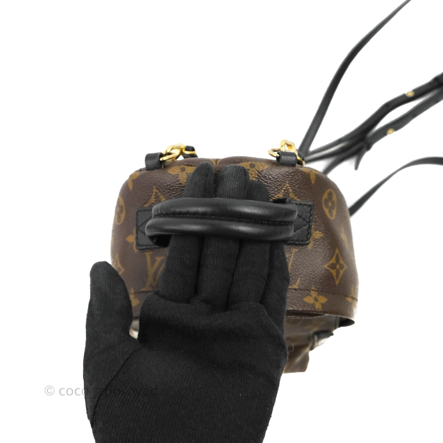 Louis Vuitton Monogram Mini Palm Springs Backpack⁣