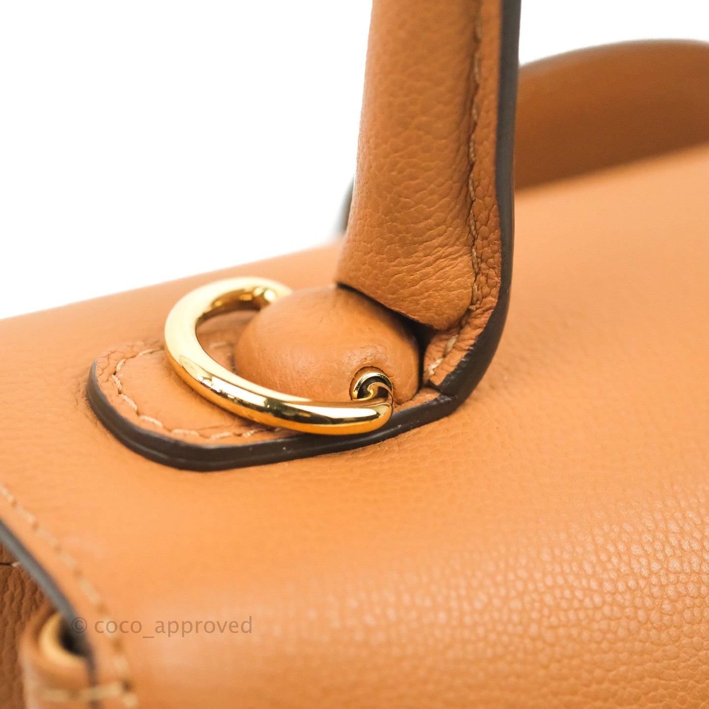 Delvaux Mini Brillant Bag Vegetal Rodeo Calf Gold Hardware