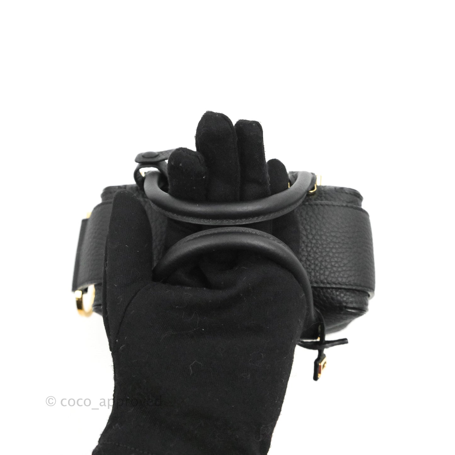 Delvaux Cool Box Nano Taurillon Soft Grained Calfskin Black Gold Hardware