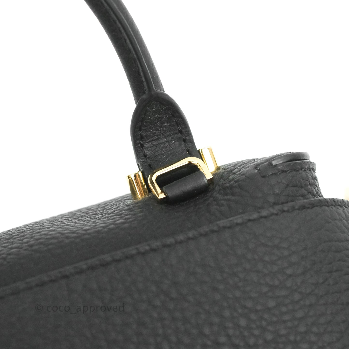 Delvaux Cool Box Nano Taurillon Soft Grained Calfskin Black Gold Hardware