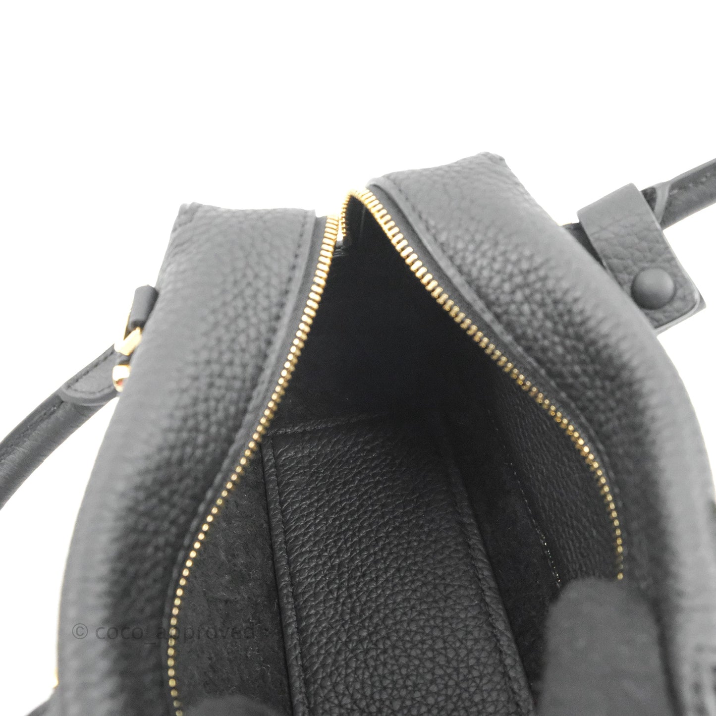 Delvaux Cool Box Nano Taurillon Soft Grained Calfskin Black Gold Hardware