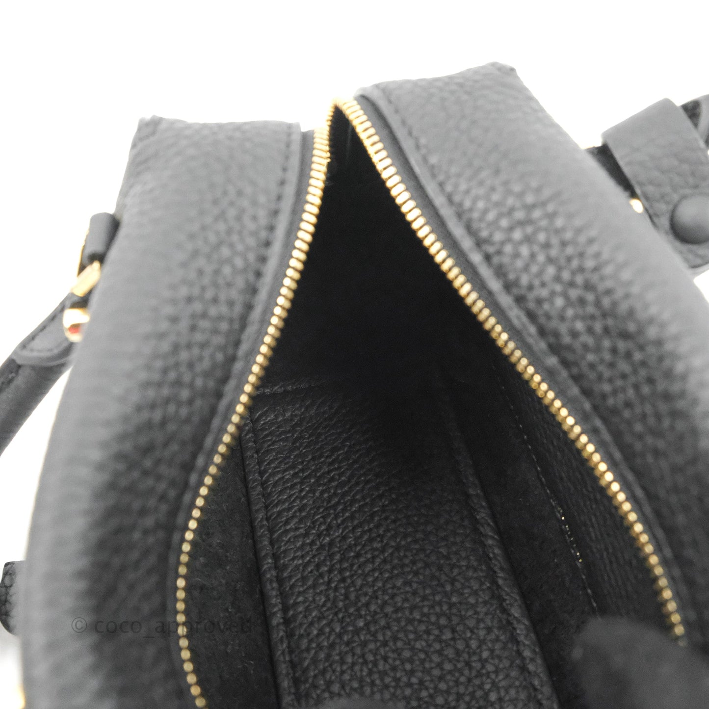 Delvaux Cool Box Nano Taurillon Soft Grained Calfskin Black Gold Hardware
