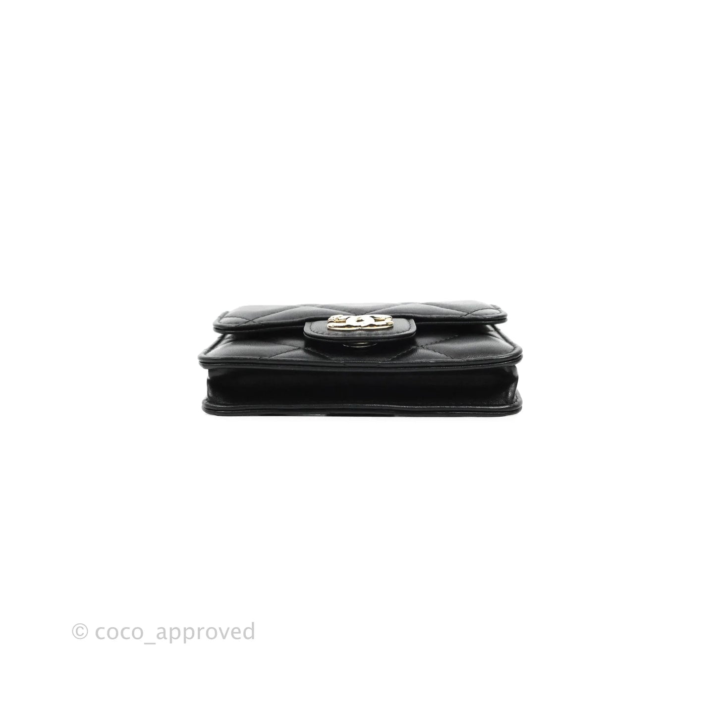 Chanel Resin Bi-Color Chain Mini Card Holder Belt Bag Black Lambskin Gold Hardware