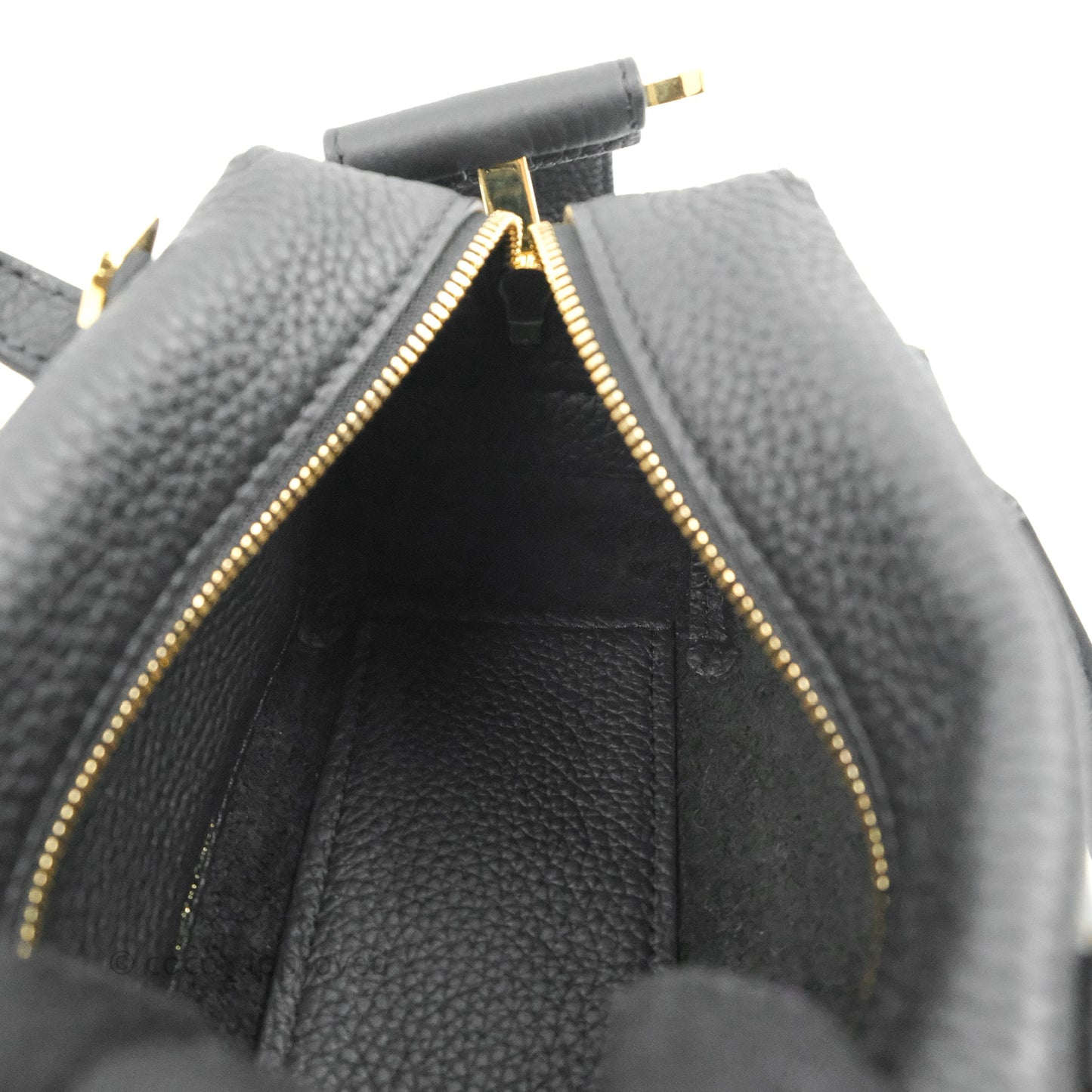 Delvaux Cool Box Nano Taurillon Soft Grained Calfskin Black Gold Hardware