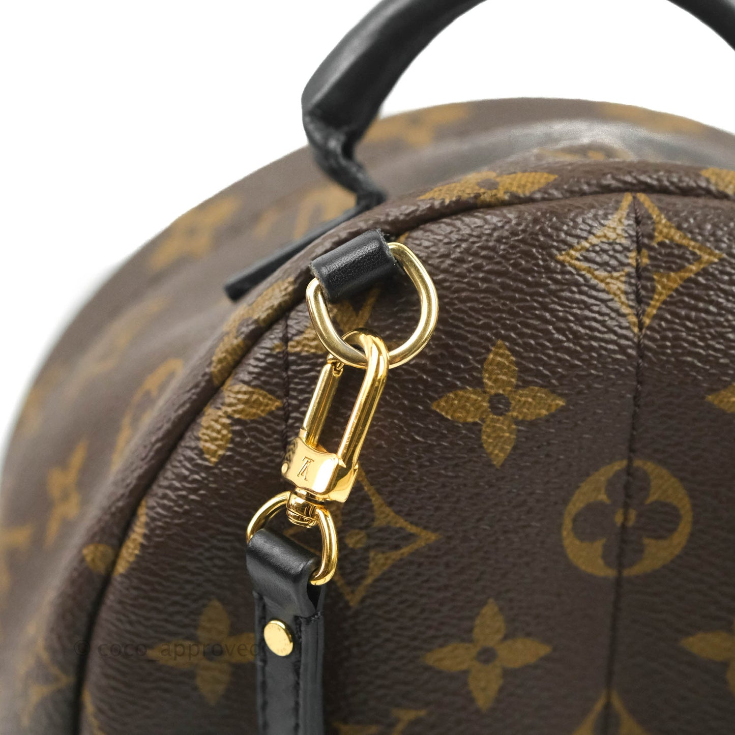 Louis Vuitton Monogram Mini Palm Springs Backpack⁣
