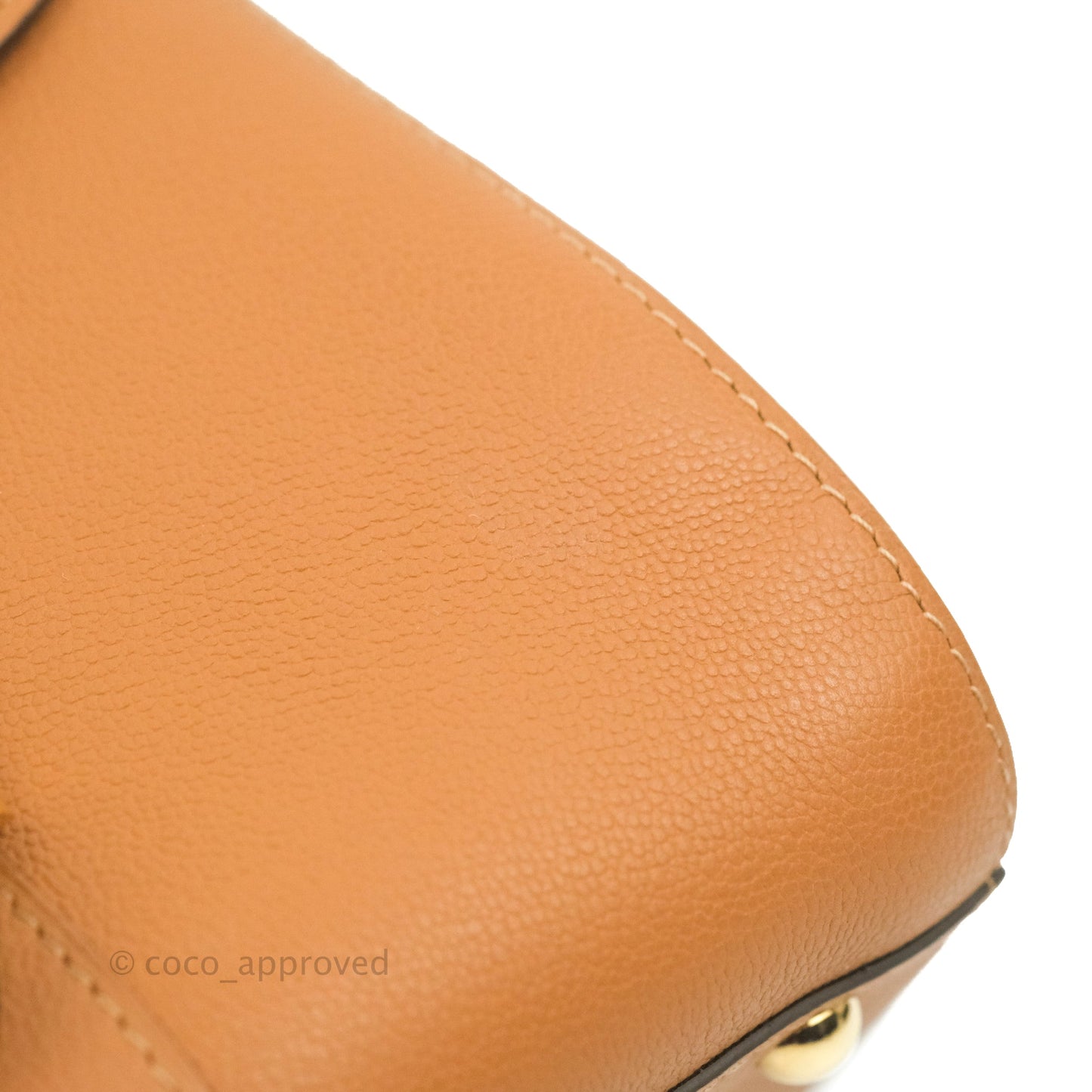 Delvaux Mini Brillant Bag Vegetal Rodeo Calf Gold Hardware