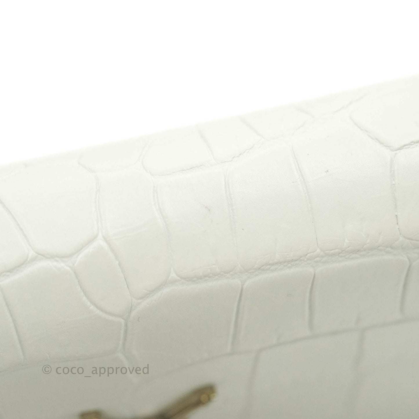Saint Laurent Kate Tassel WOC White Silver Hardware