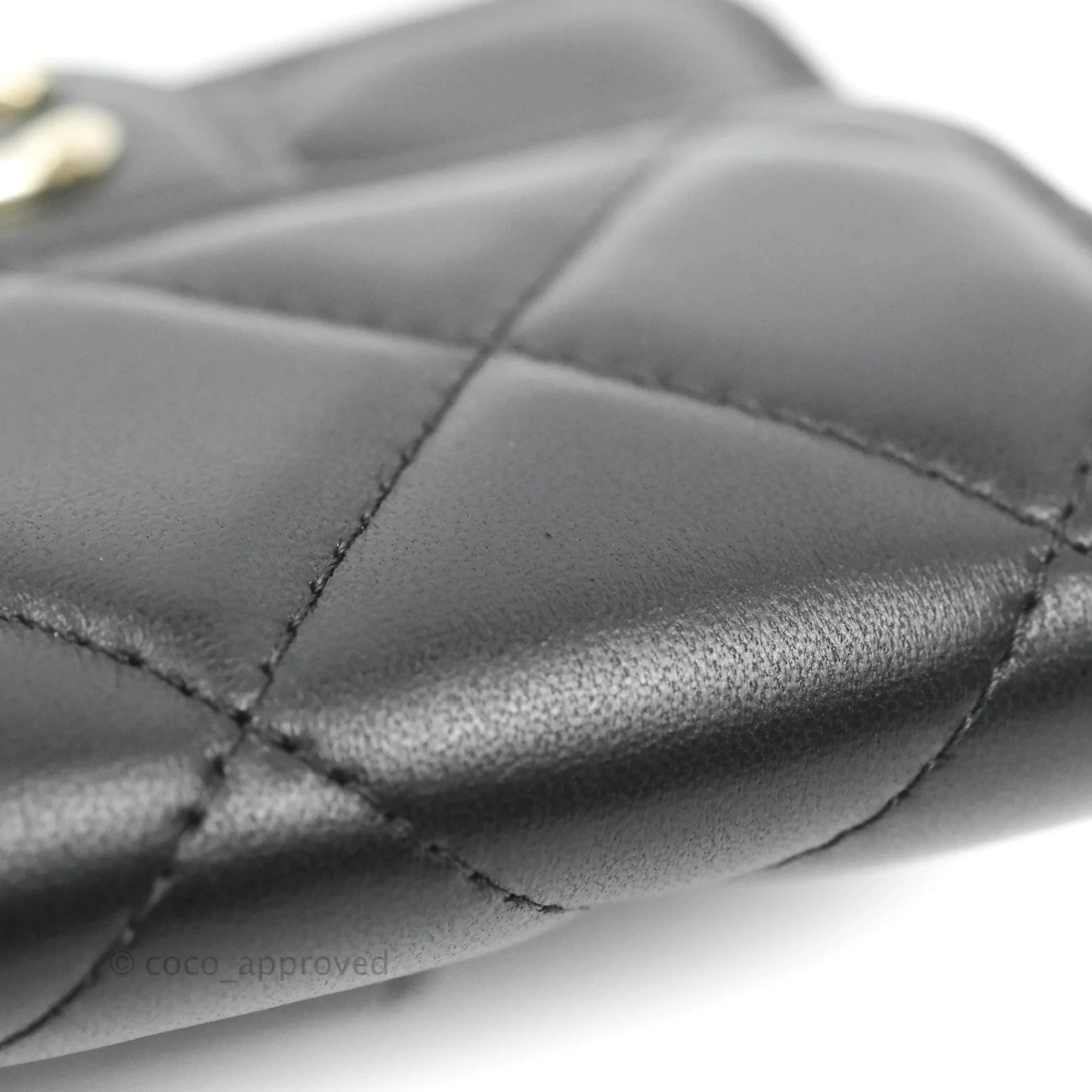Chanel Resin Bi-Color Chain Mini Card Holder Belt Bag Black Lambskin Gold Hardware