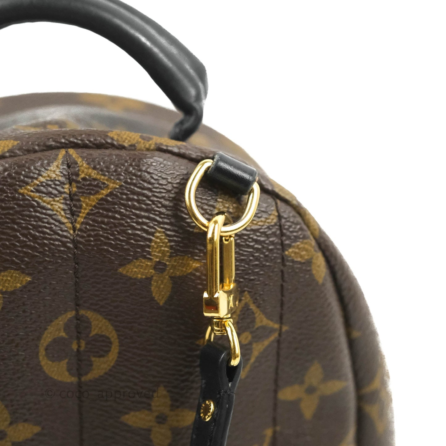 Louis Vuitton Monogram Mini Palm Springs Backpack⁣