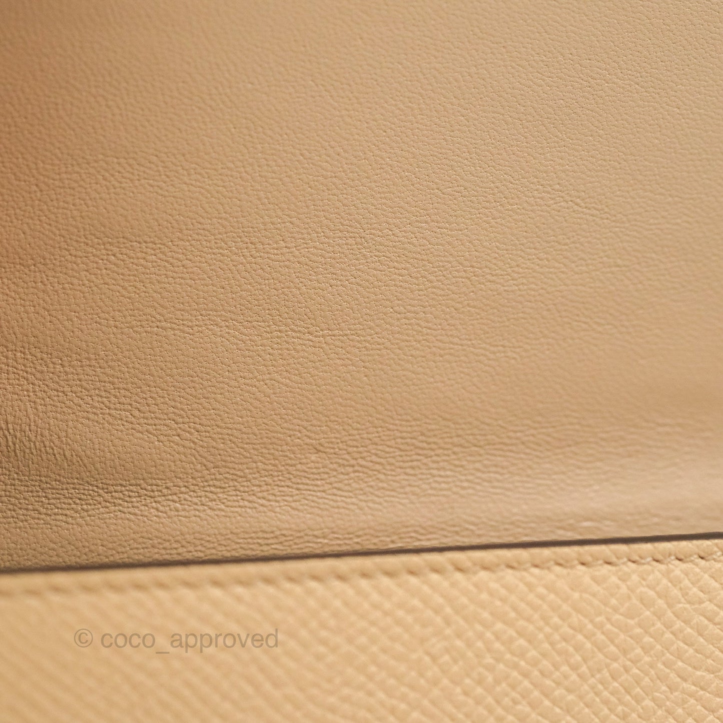 Celine Small Trotteur Crossbody Bag Grained Calfskin Powder
