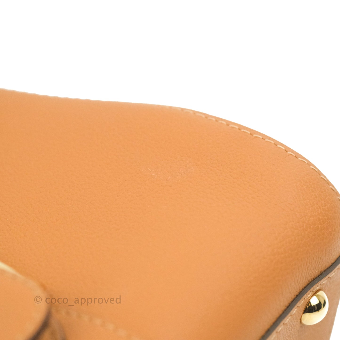 Delvaux Mini Brillant Bag Vegetal Rodeo Calf Gold Hardware