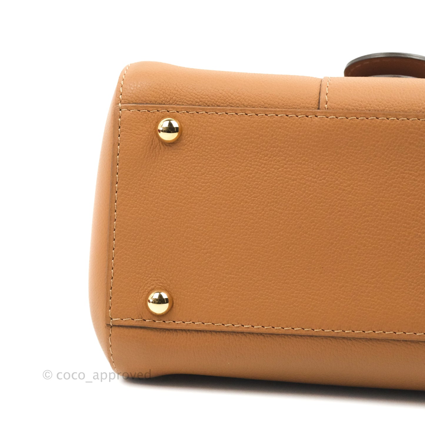 Delvaux Mini Brillant Bag Vegetal Rodeo Calf Gold Hardware